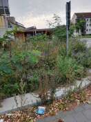 Foto: Strasse des Friedens in Gransee/Vor den Kindergarten/Zwergenland. Es ist eine Schande das ansehen zu müssen wie es aussieht  